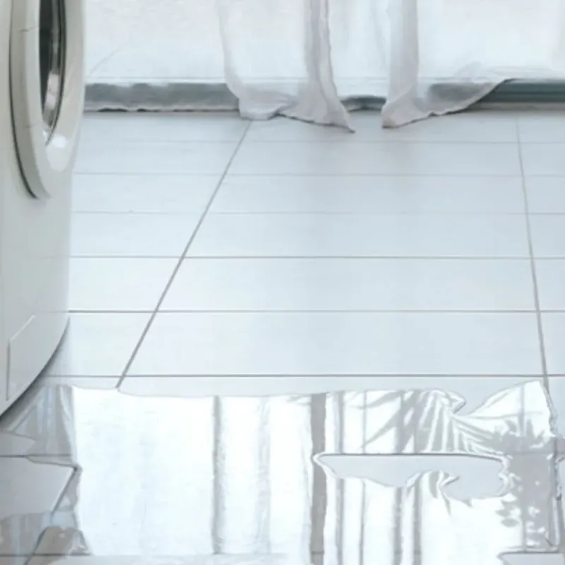 Appliance Leak Cleanup in Ionia, MI