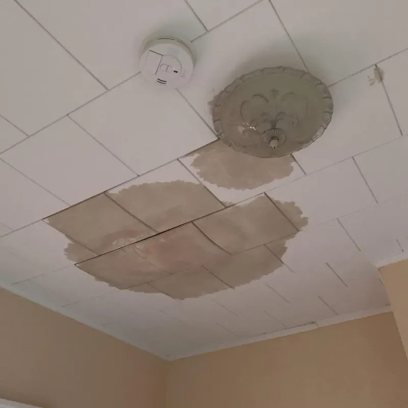 Ceiling Water Damage Repair in Ionia, MI