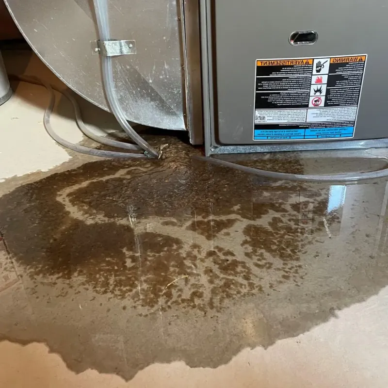 Pipe Burst and Leak Restoration in Ionia, MI