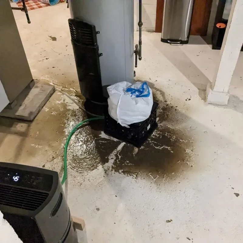 Sewage Backup Cleanup Service in Ionia, MI